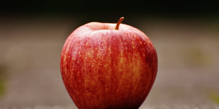 एक सेब खाने पर कितनी कैलोरी मिलती हैं